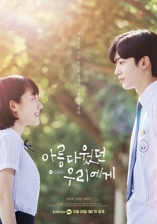Promotional poster for A Love So Beautiful