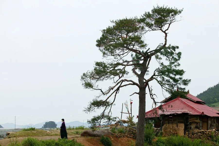 Landscape shot from the film