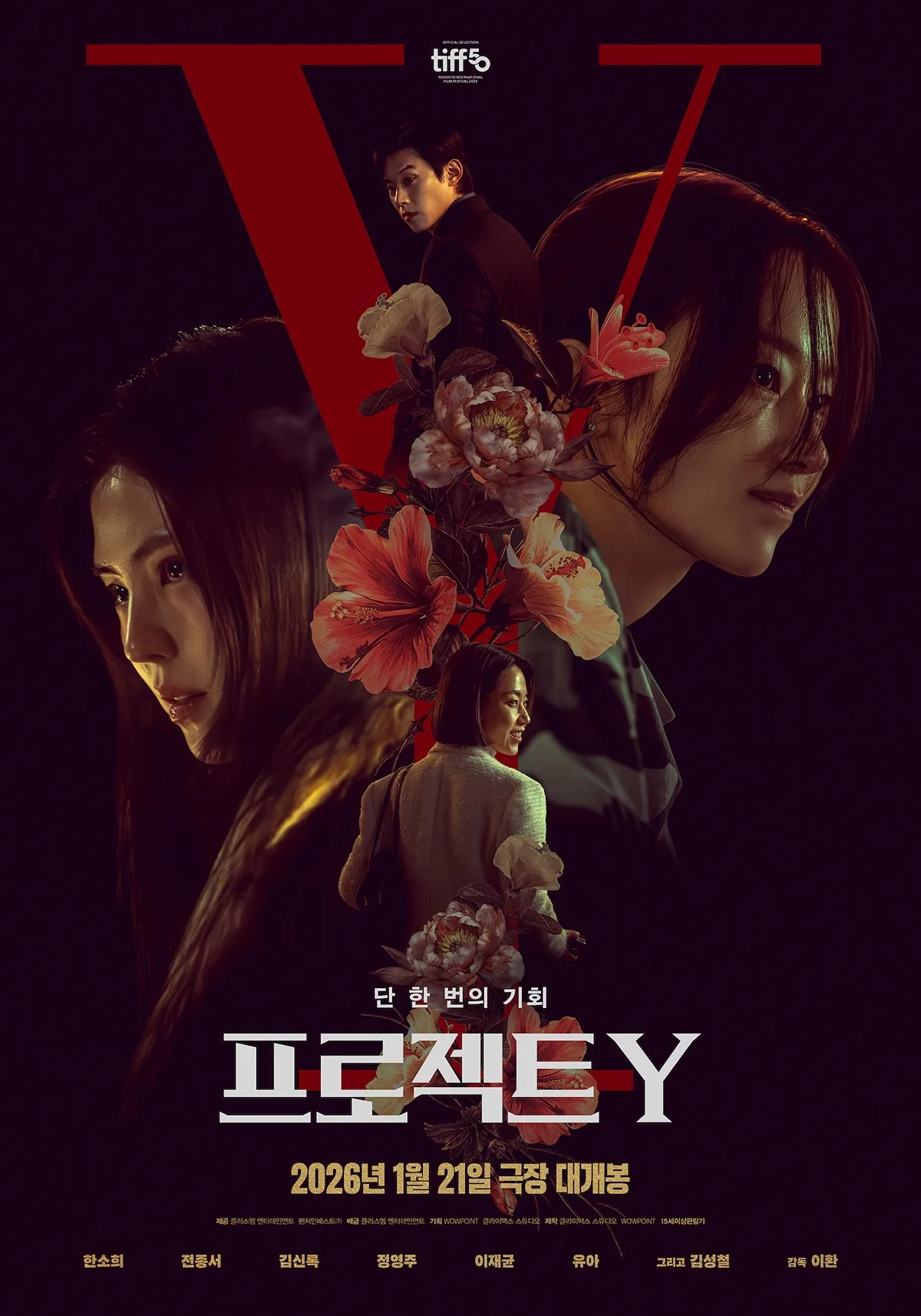Promotional poster for Project Y