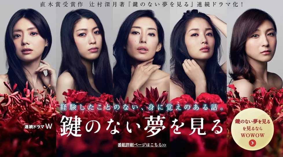 Promotional image for Kagi no nai Yume wo Miru