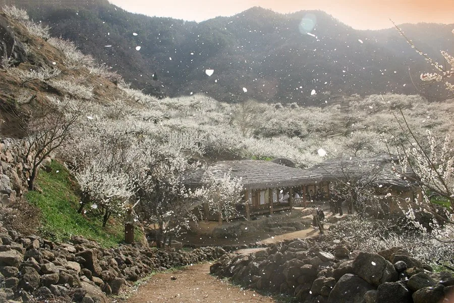 Final scene composition