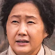 Bae Hae-Sun