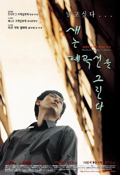 Promotional poster for The Bird Who Stops in the Air