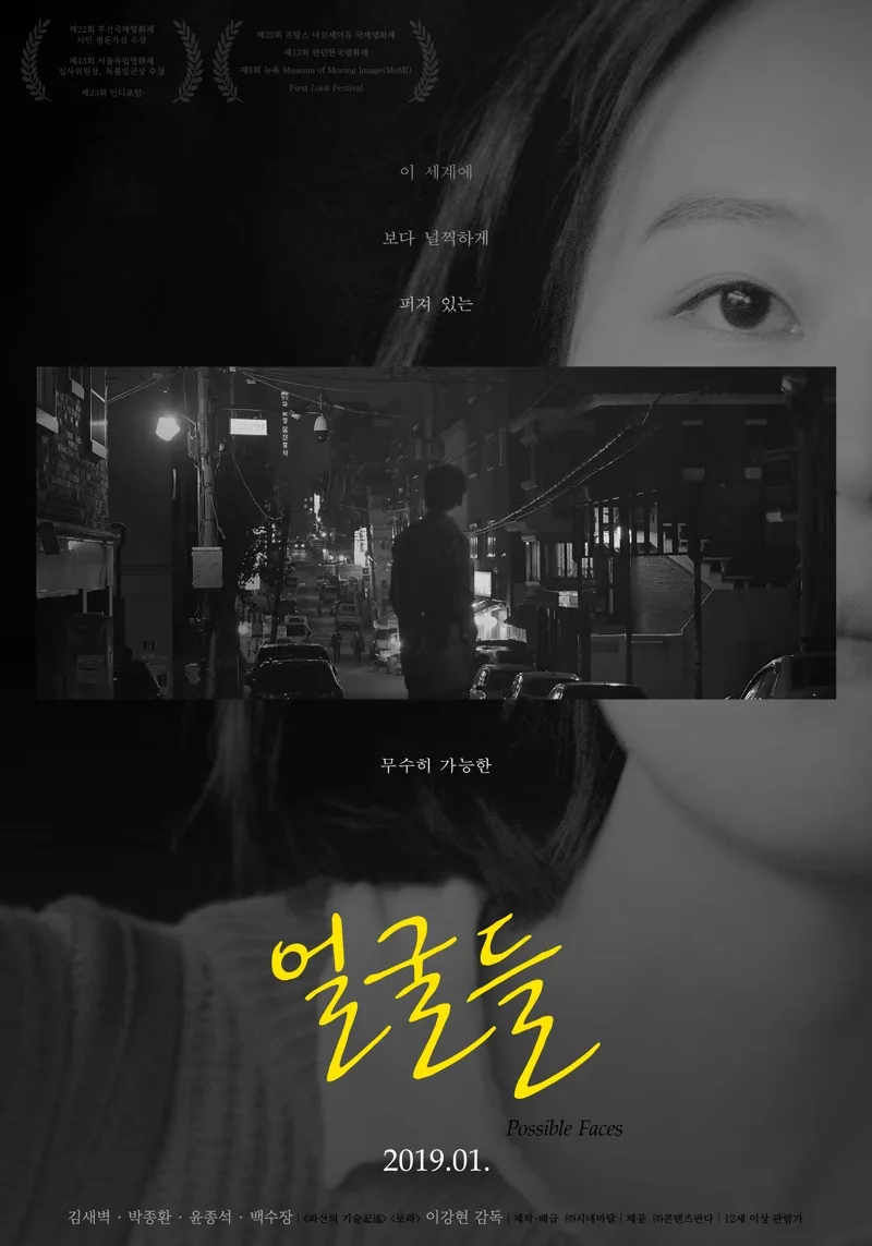 Promotional poster for the film Possible Faces