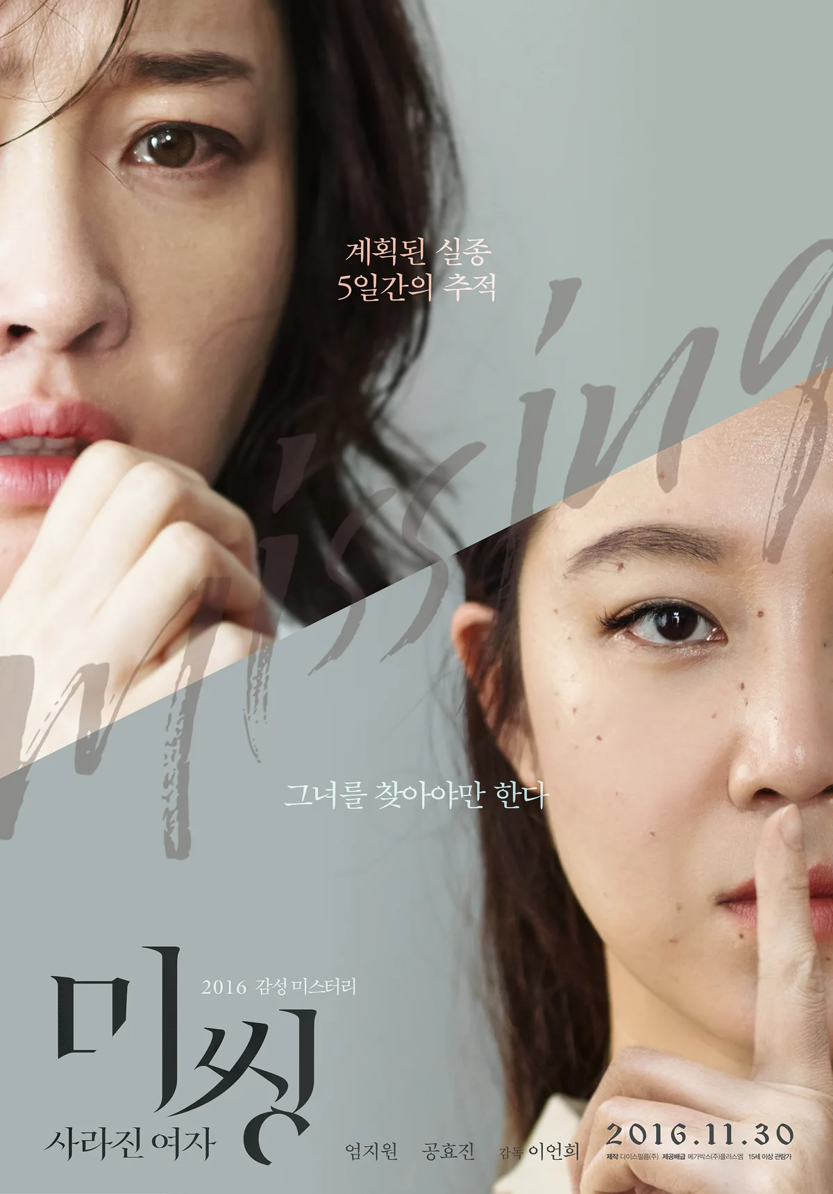 Promotional poster for the film Missing