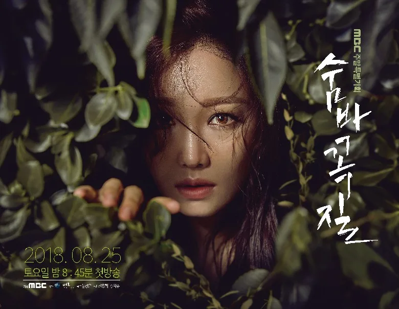 Promotional poster for the drama Hide and Seek