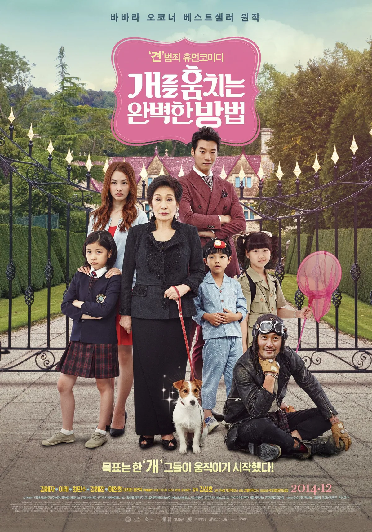 Poster for the film How to Steal a Dog