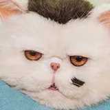 Ryunosuke Kamiki