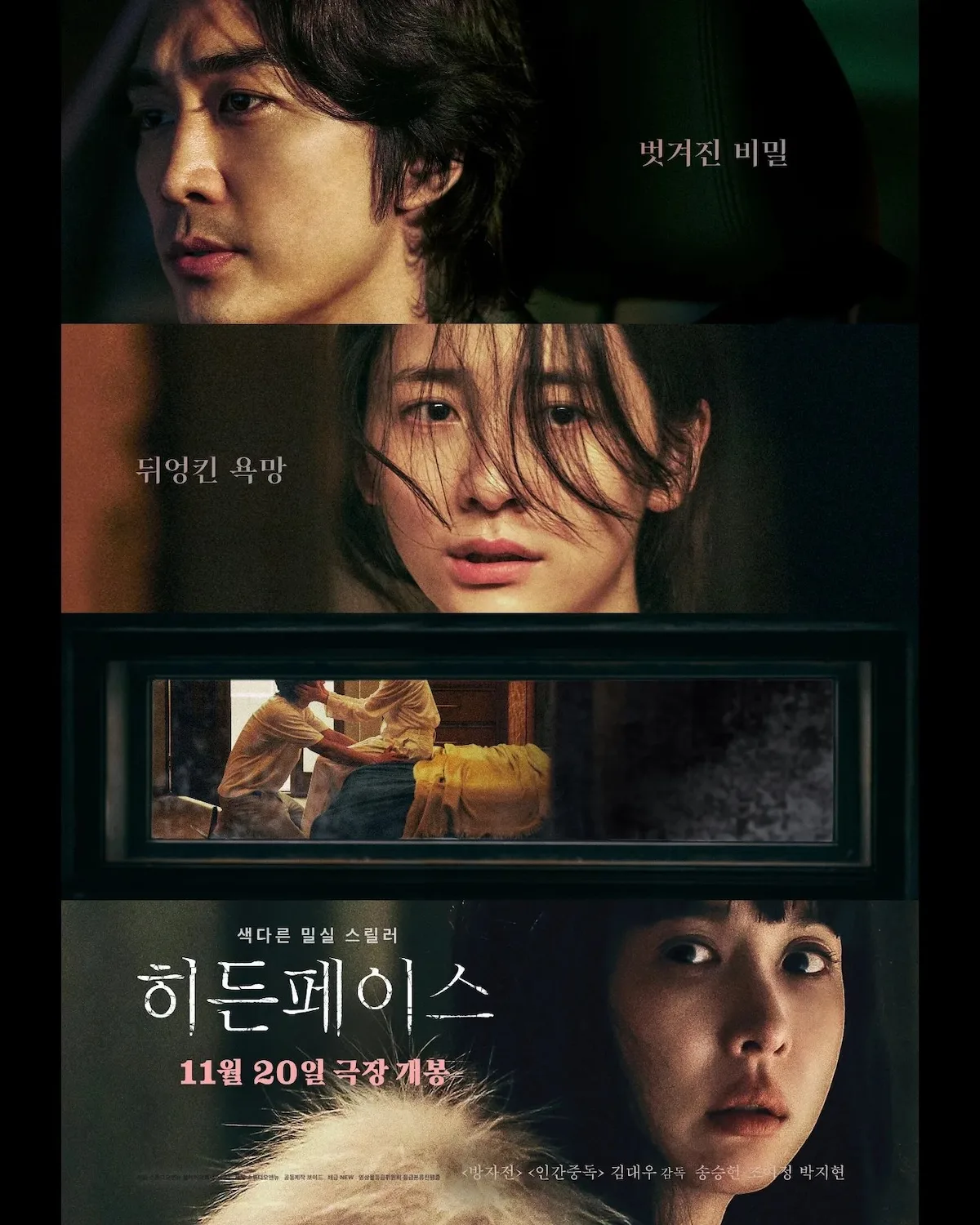 Promotional poster for the film Hidden Face