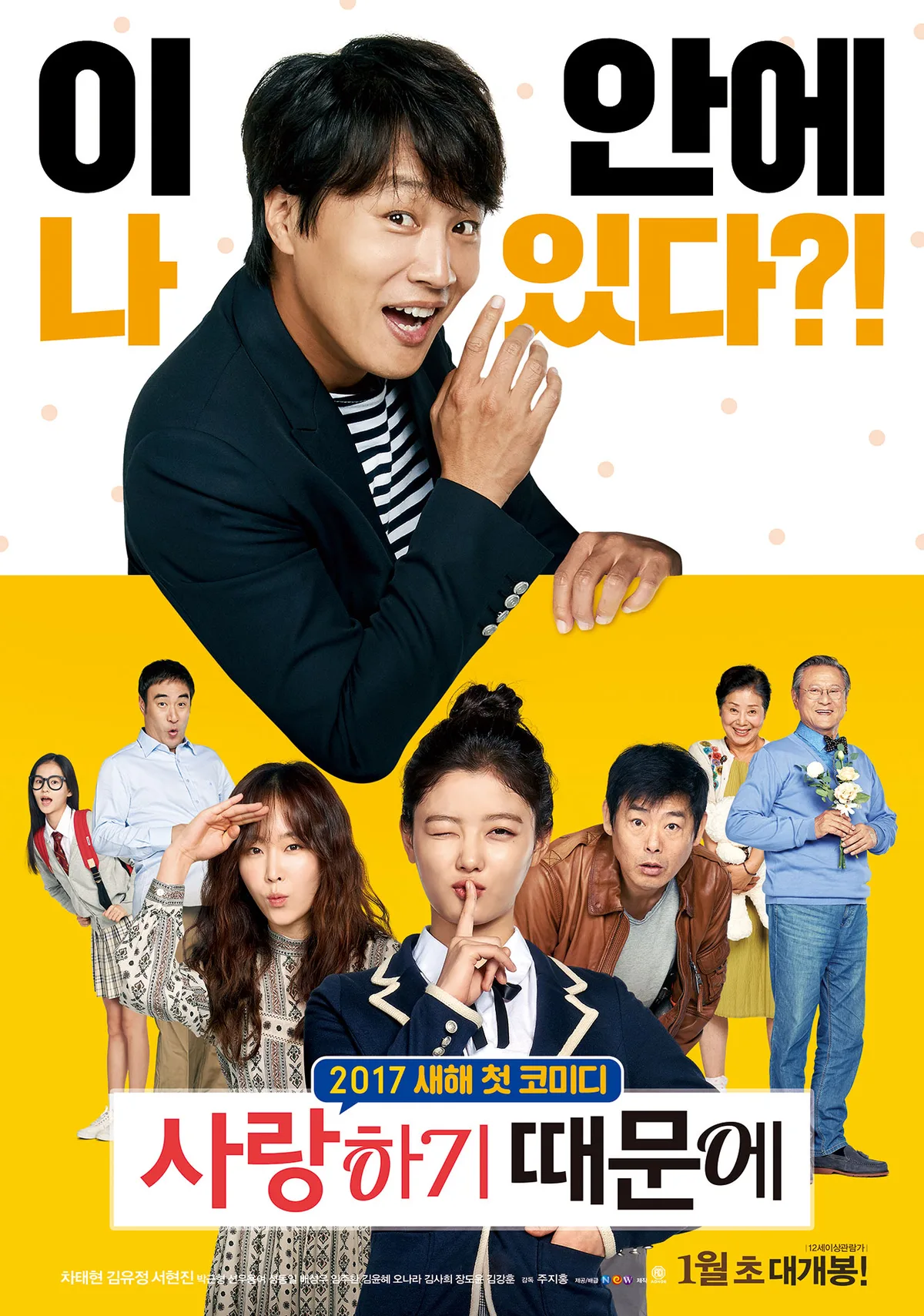 Promotional poster for the film Because I Love You
