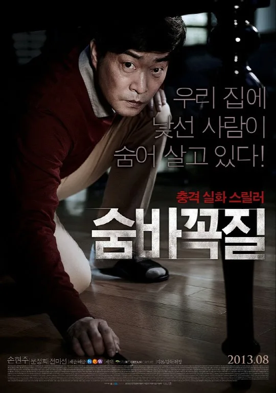 Promotional poster for the film Hide and Seek
